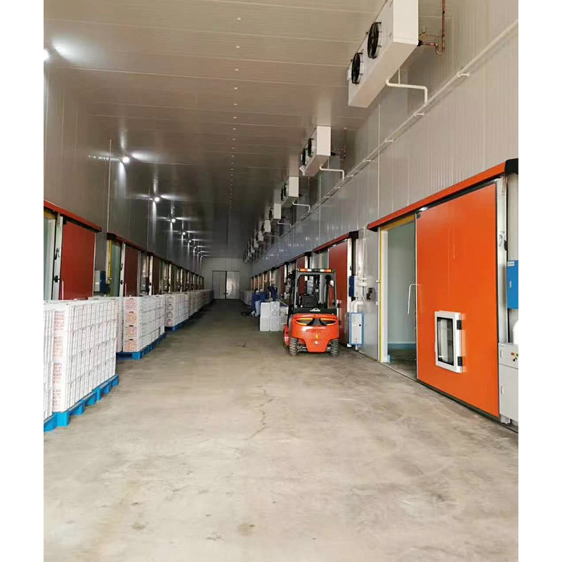 Cold Chain Engineering